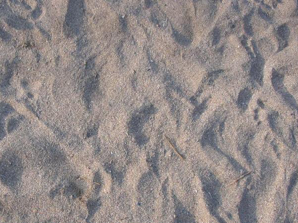 风化砂制砂设备一套多少钱？